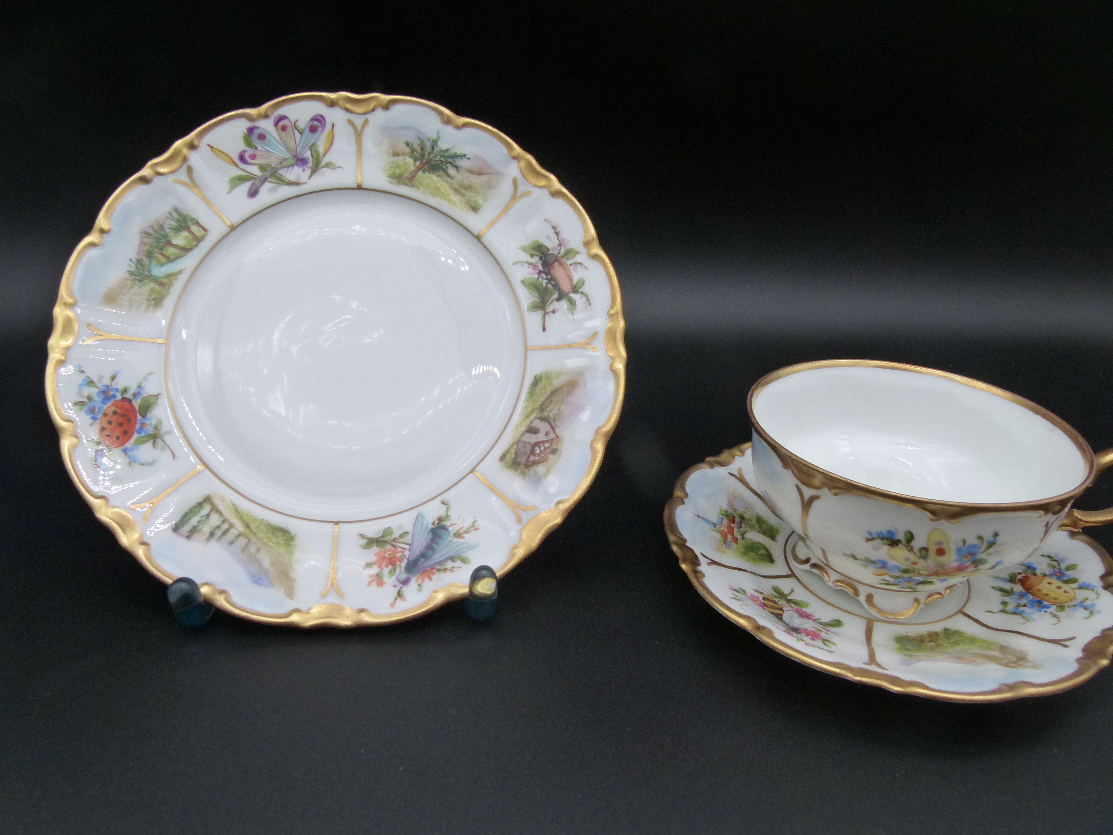 Kaffegedeck 3 tlg Volkstedt Insekten Blumen selten