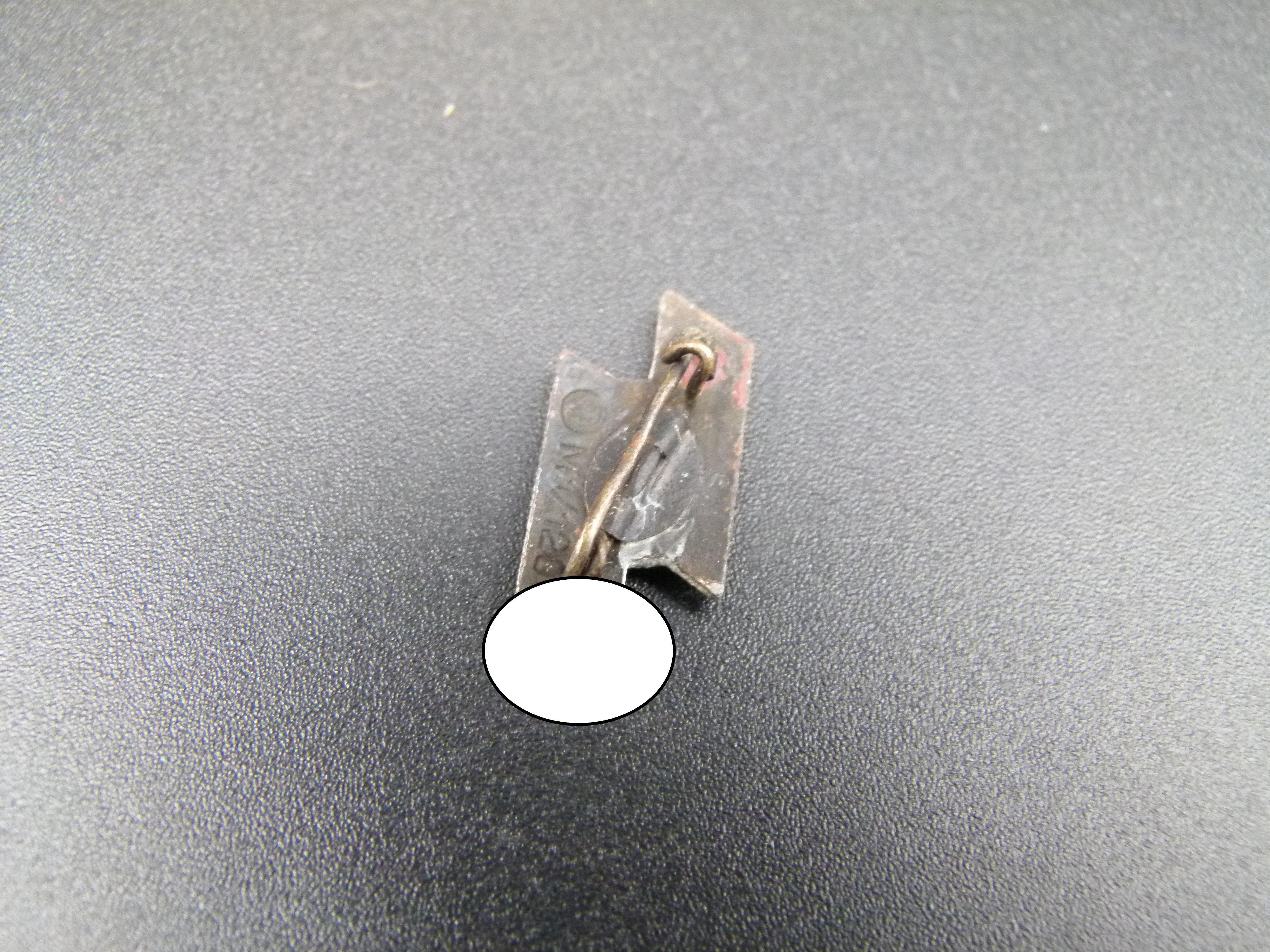 DJ Leistungsabzeichen Miniatur mit Traegerportrait 