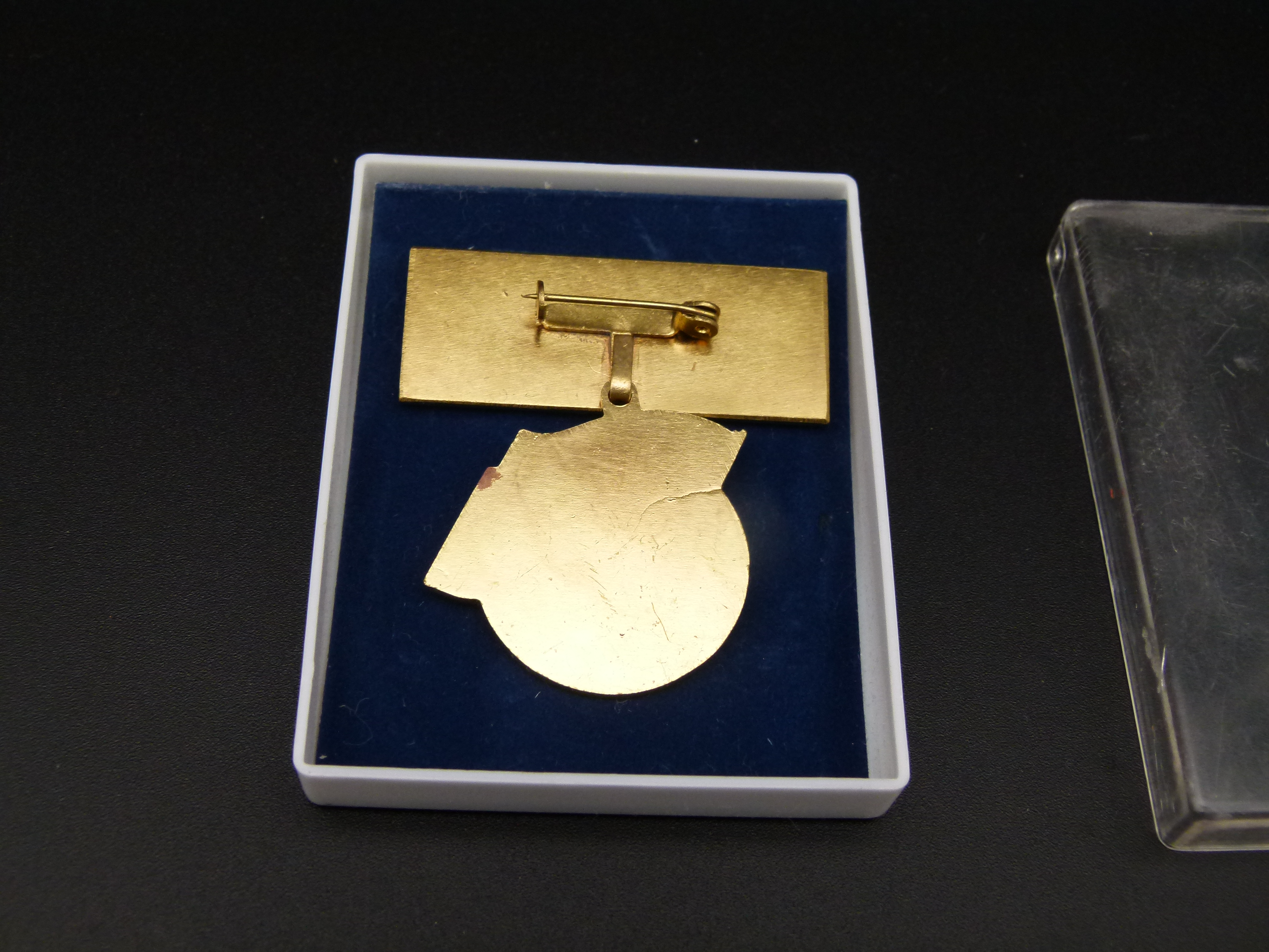 Abzeichen Freundschaftszug Gesellschaft der DSF