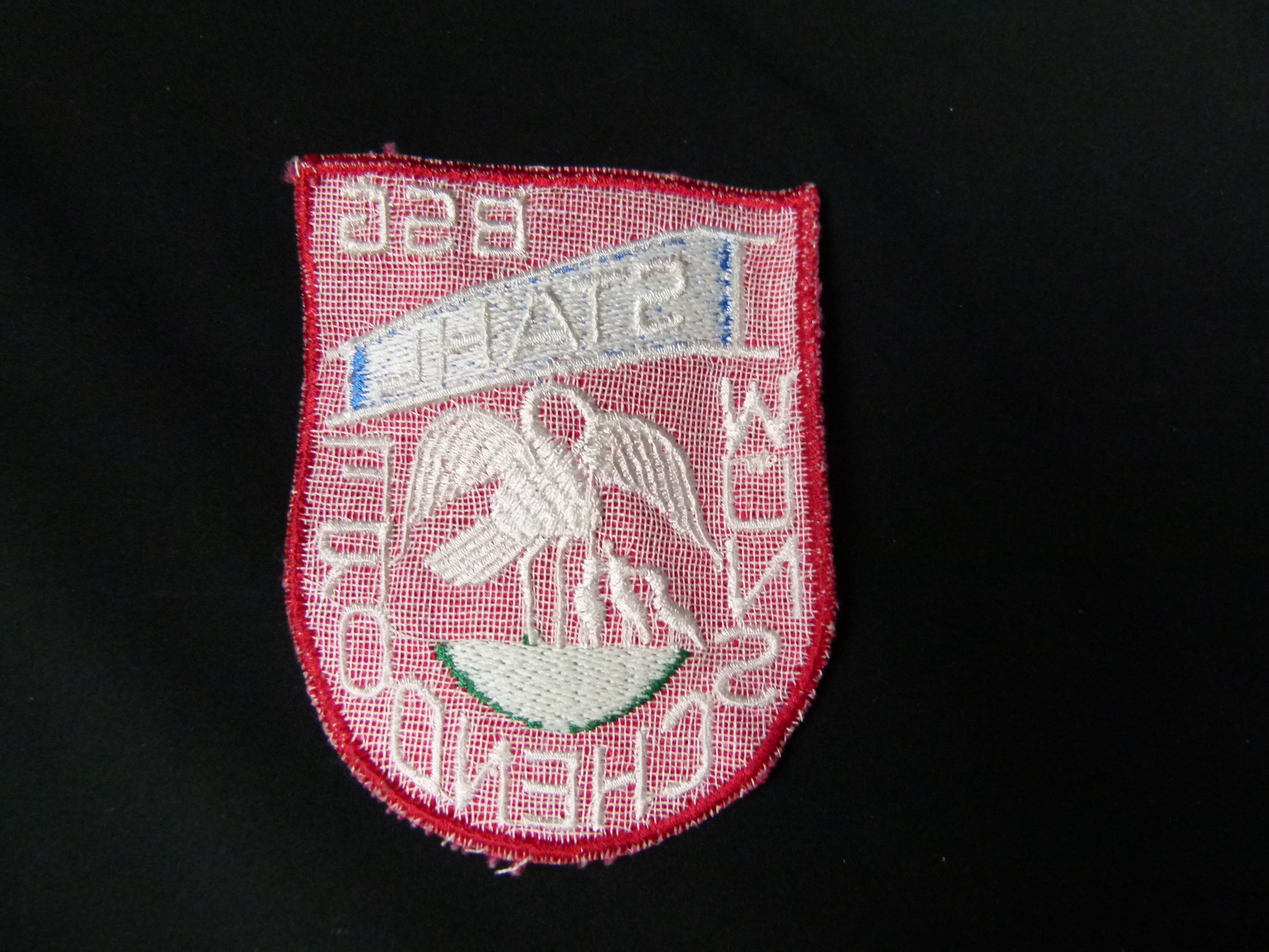 Fußball Trikot Aufnaeher BSG Stahl Wuenschendorf