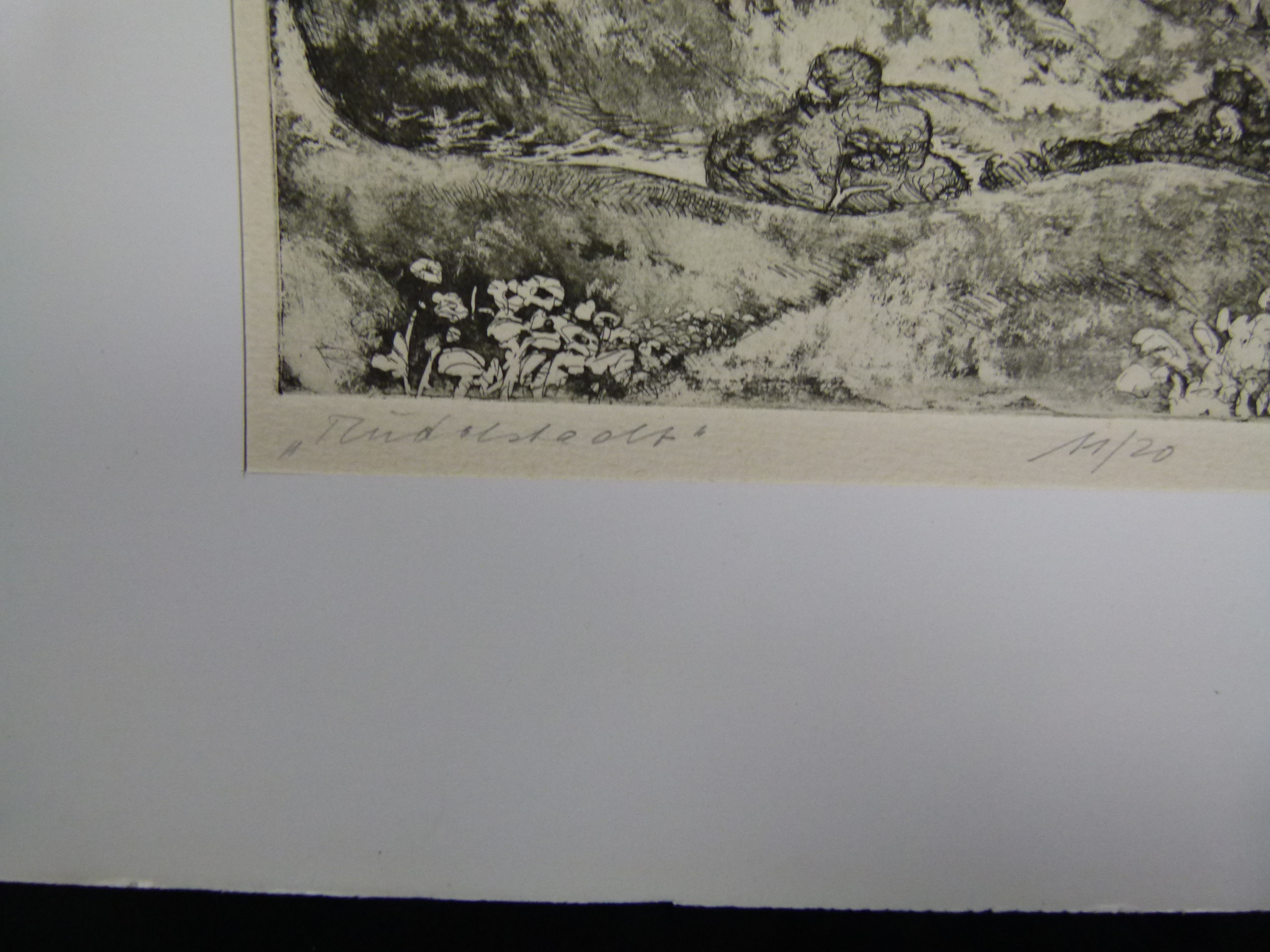 Paul Rau Kunstwerk 1979 Rudolstadt limit. 11 von 20 