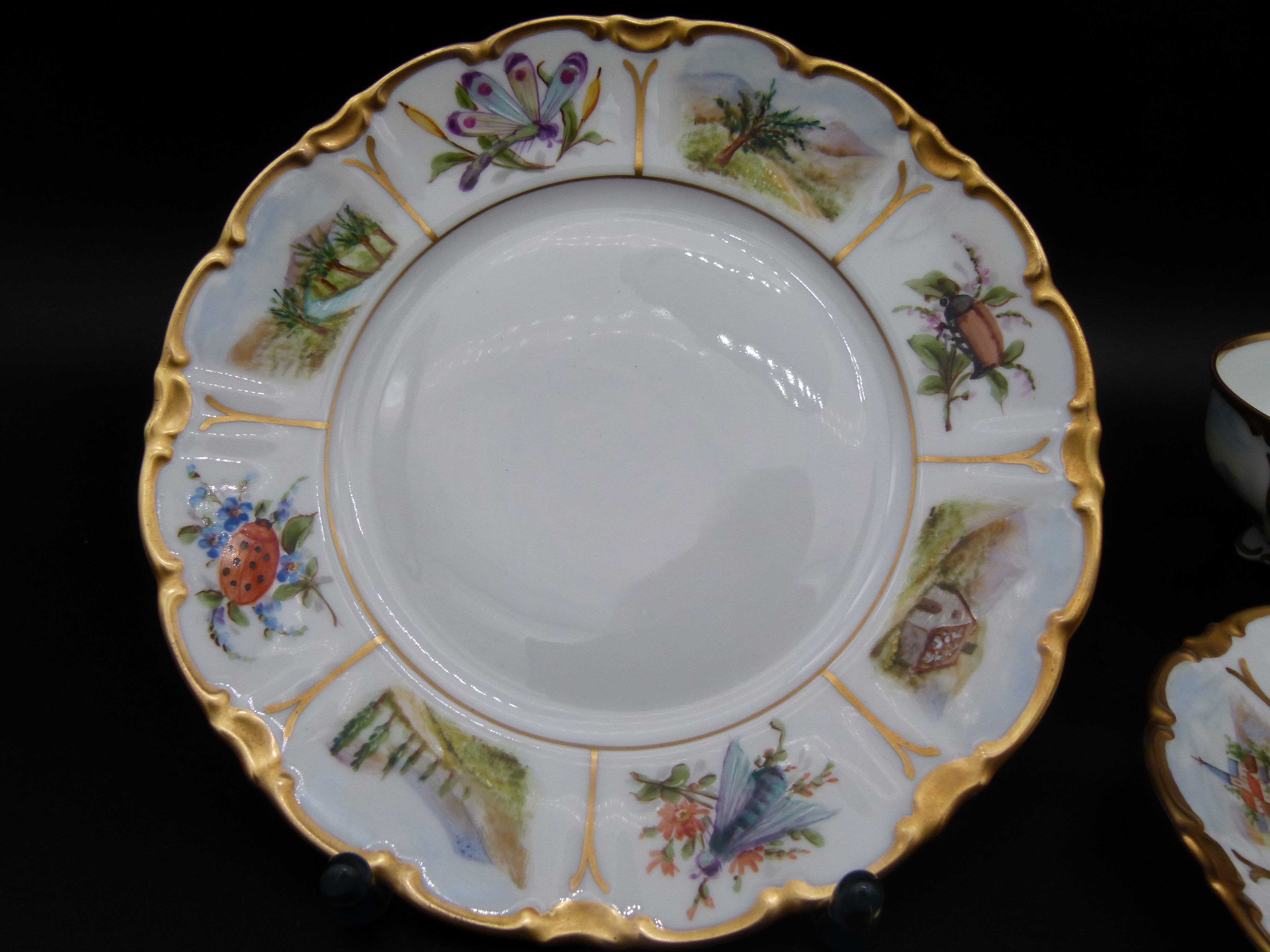 Kaffegedeck 3 tlg Volkstedt Insekten Blumen selten